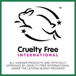 Garnier SkinActive Vitamin C Sheet Mask 12 Garnier SkinActive Vitamin C Sheet Mask -Pure Glow Deals Store 394724 garnier skinactive sheet mask vitamin c 2